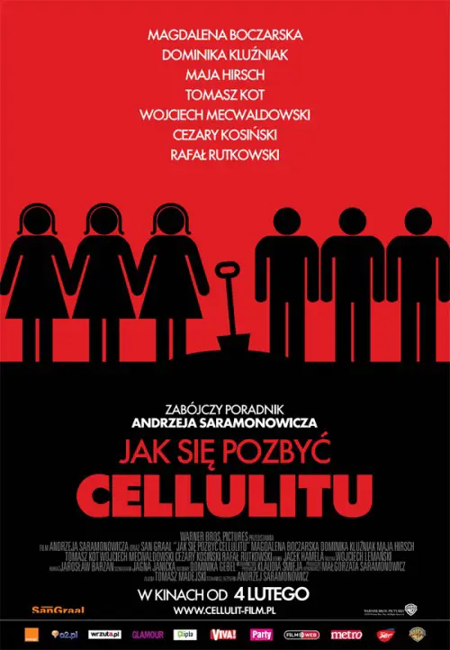 Jak się pozbyć cellulitu (2011) / TVN Fabuła